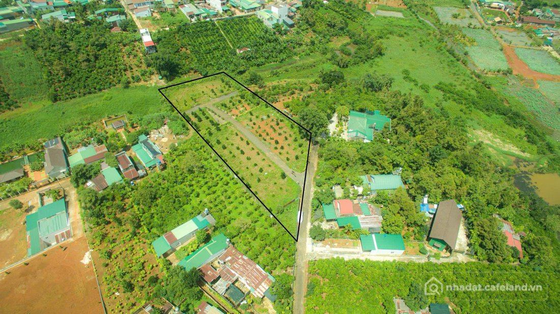 Bán đất thổ cư: Bán đất Bùi Thị Xuân, Phường 1 Bảo Lộc