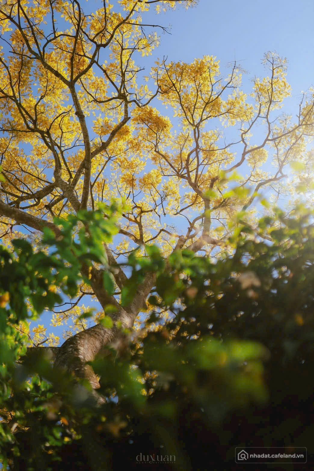 Bán đất thổ cư: Làng Omm 2 yên bình chỉ với 390tr đã có ngay lô đất hướng đồi Ch