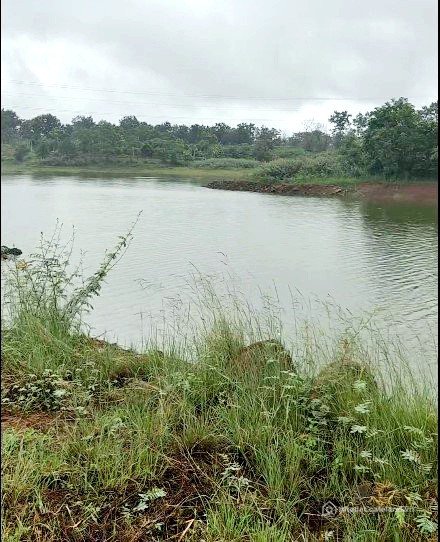 Bán đất thổ cư: Nhiều đất Sào 2 mặt tiền,View Sông Phú Hài-Kim Ngọc-P. Hàm Thắng