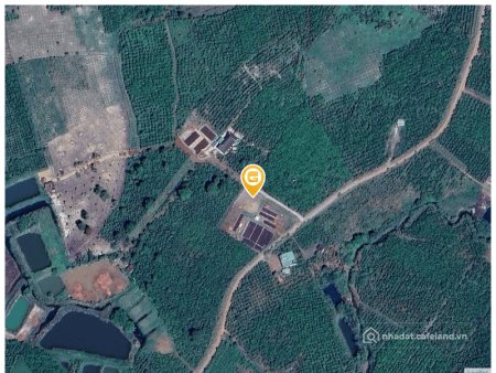 Bán đất thổ cư: 304#Bán đất 130m² 319 triệu tại Xã Lộc Ngãi Huyện Bảo Lâm