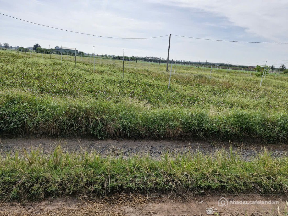 Bán đất thổ cư: CẦN BÁN GẤP – ĐẤT NÔNG NGHIỆP GIÁ TỐT, SỐ LƯỢNG CÓ HẠN- TẠI DMC 