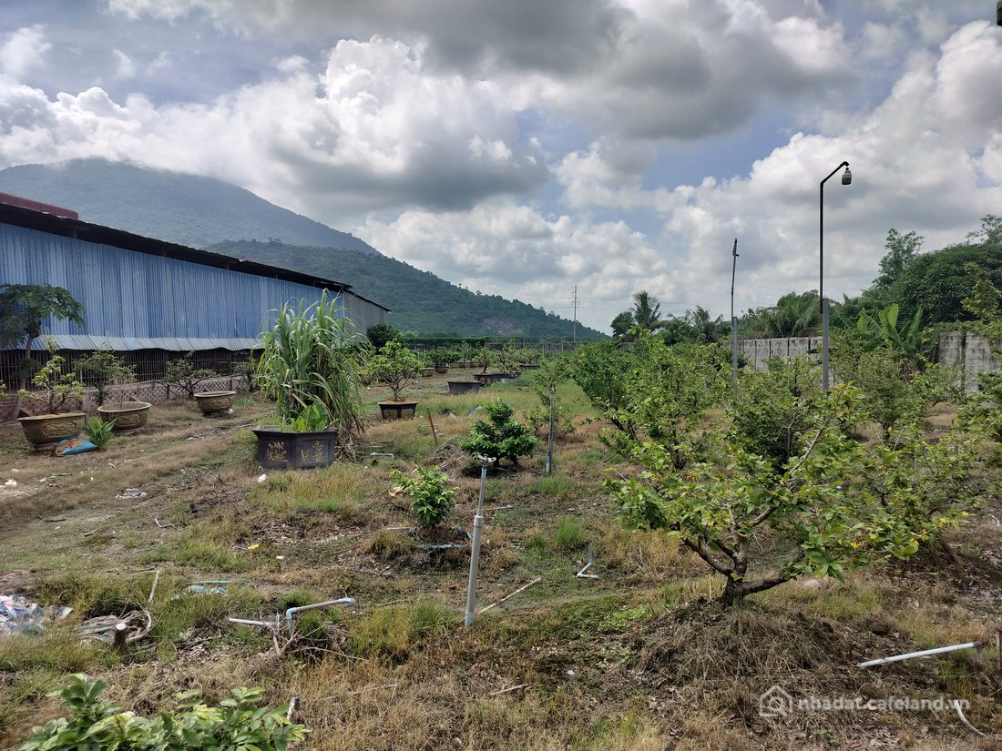 Bán kho, nhà xưởng: Bán kho, nhà xưởng tại Đường Trần Phú, Xã Bình Minh, Tây Nin