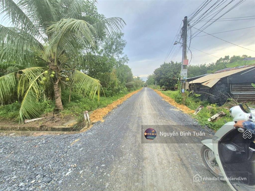 Bán đất thổ cư: Phước an 8m x 46m (438.4 m2) đất cây giá chỉ 450 triệu