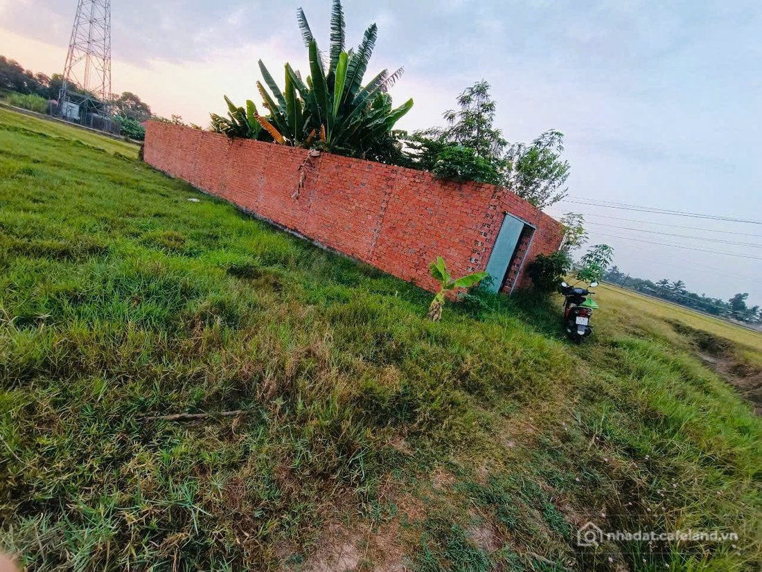 Bán đất thổ cư: ĐẤT RẺ THỔ CƯ HÒA KHÁNH NAM ĐỨC HÒA LONG AN