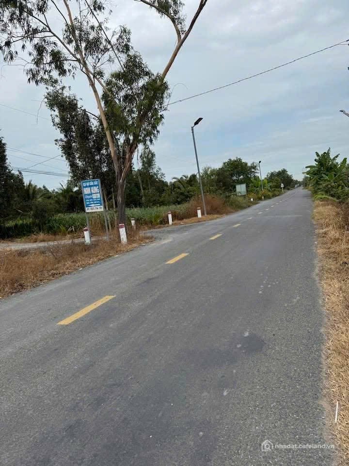 Bán đất thổ cư: ĐẤT THỔ CƯ GIÁ RẺ HÒA KHÁNH NAM ĐỨC HÒA LONG AN