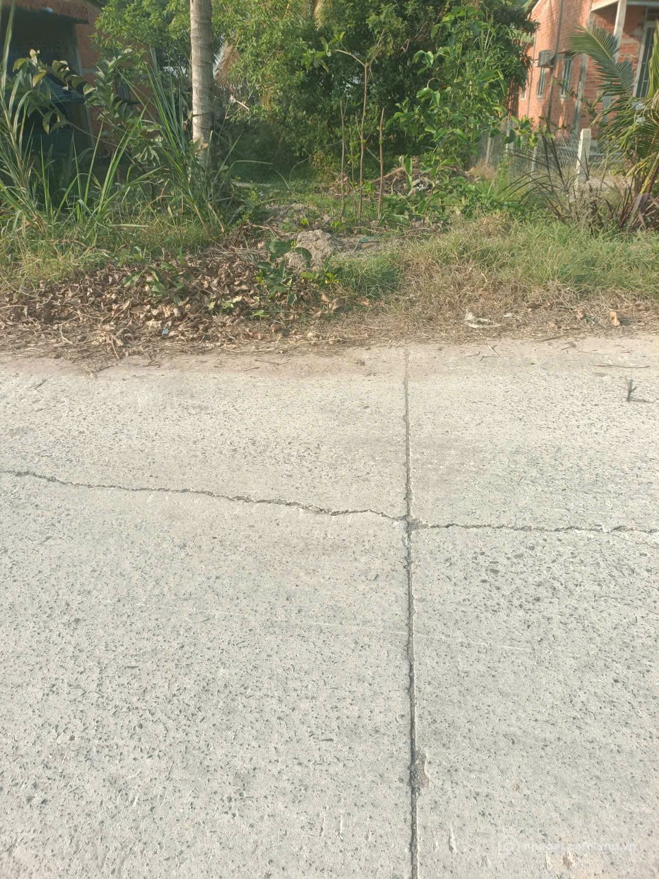 Bán đất thổ cư: cần bán đất xã An Ninh Đông Đức Hòa 8x65 (Thổ cư)