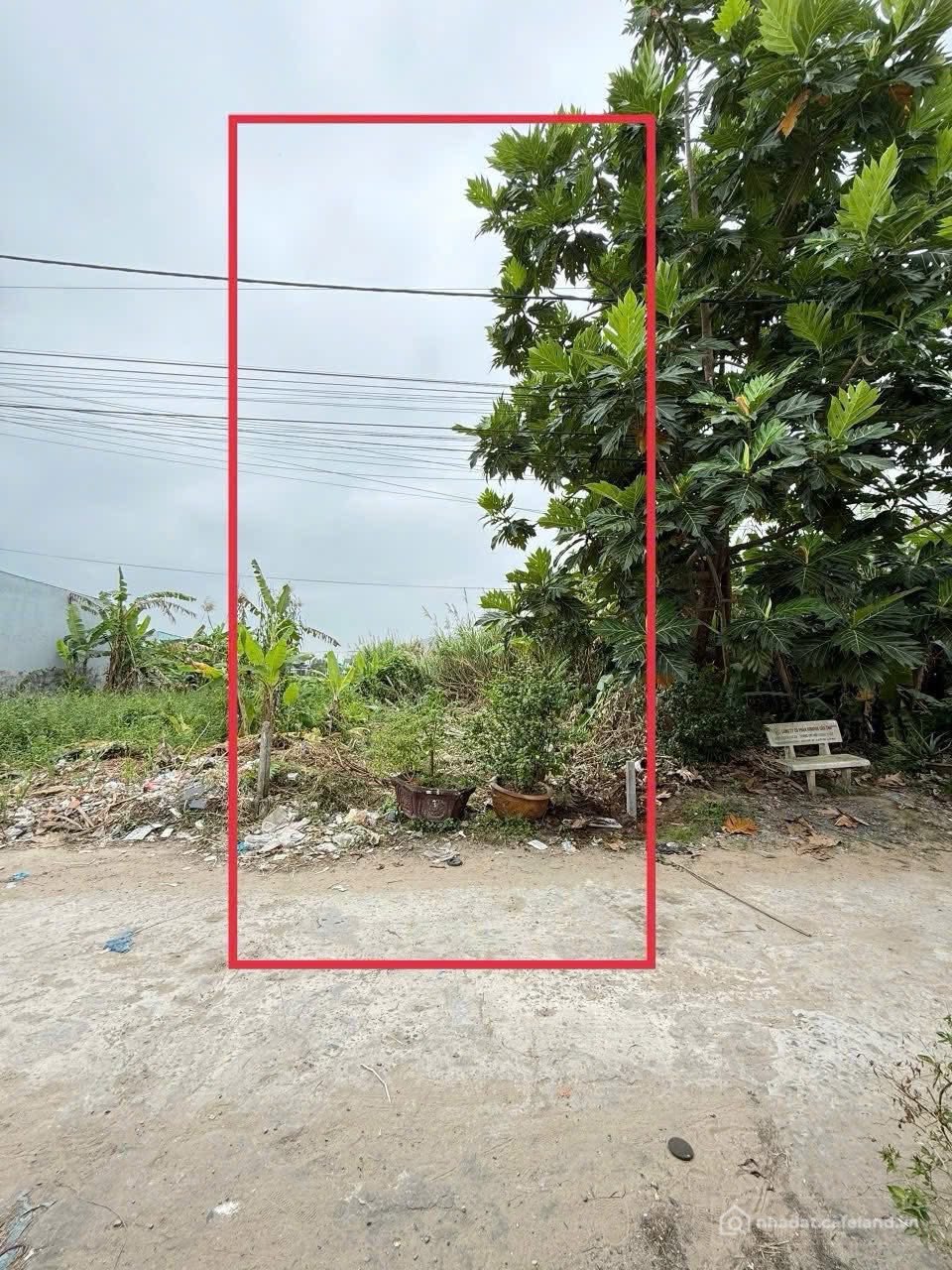 Bán đất thổ cư: Kẹt tiền bán miếng đất gần KCN Linh Trung 3, Trảng Bàng, 110m2 f