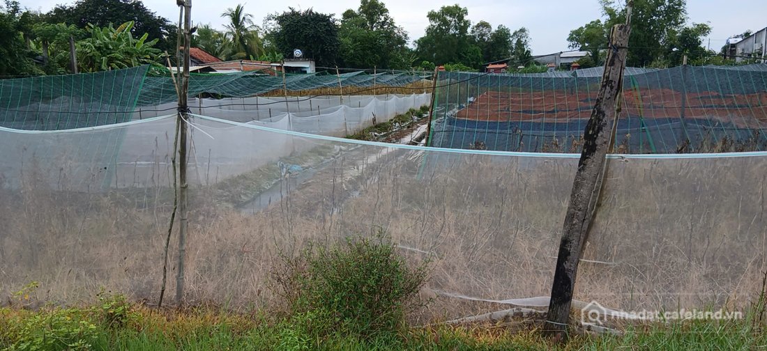 Bán đất thổ cư: Bán lô đất thô cư xã An Ninh Đông tổng dt 950m2 full thổ , đường