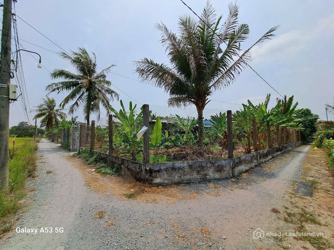 Bán nhà riêng: Nhà vườn xã Nhựt Chánh, Bến Lức , Long An tổng dt 1300m2 2pn 2wc 