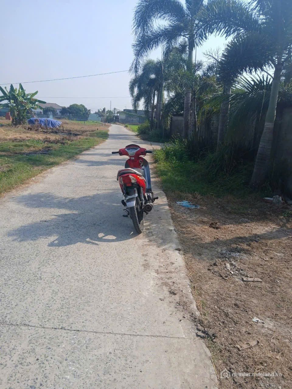 Bán nhà riêng: Bán nhà vườn nhỏ xinh ở Nhựt Chánh , Bến Lức tdt 900m2 ( 115m2 th