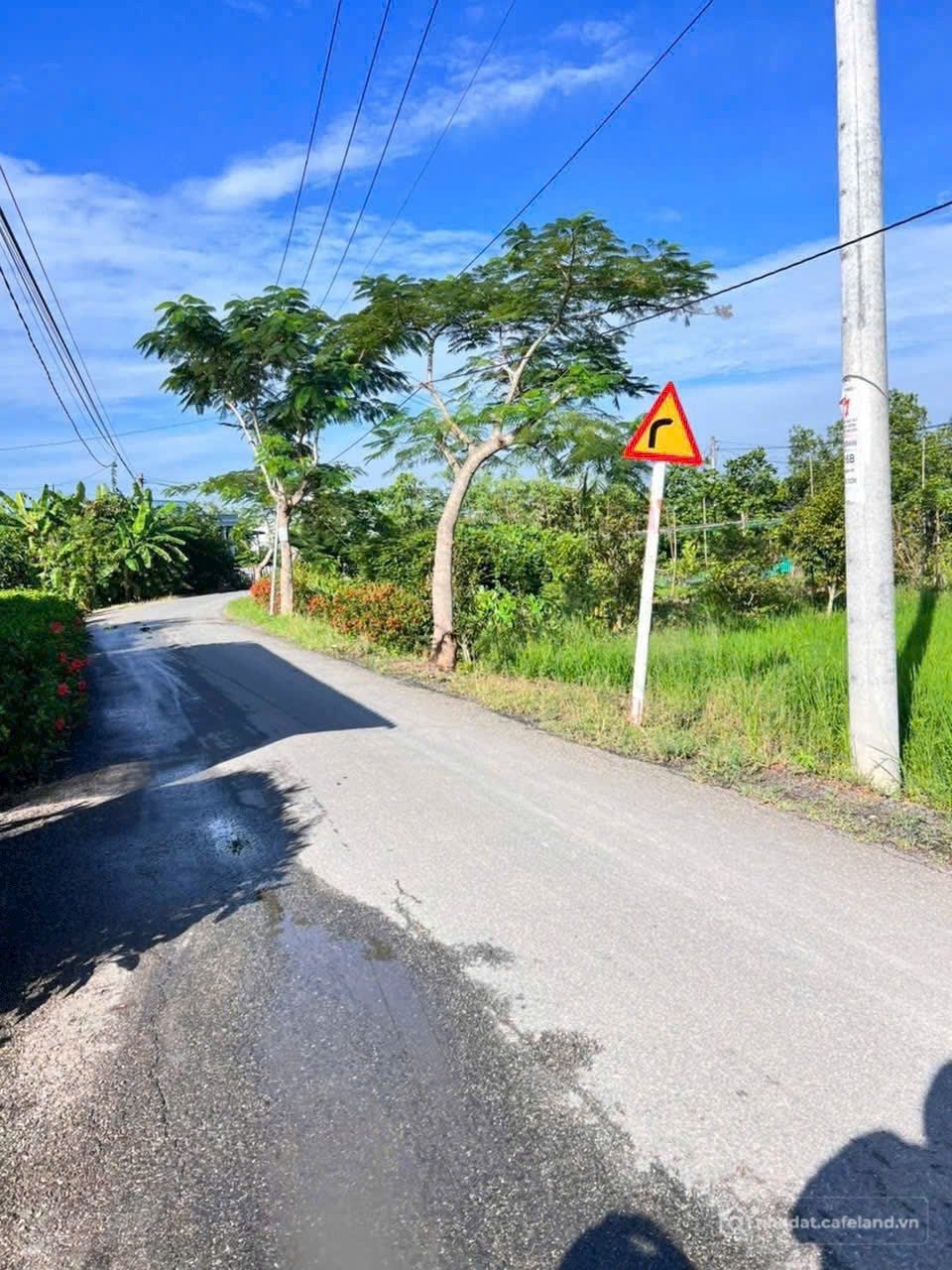 Bán đất thổ cư: Bán 332m2 (8x42) full thổ cư, mặt tiền Ao Gòn, Tân Lân, Cần Đước