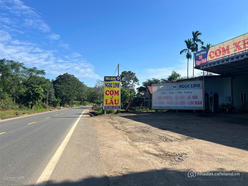 Bán đất thổ cư: Ngân hàng bán đấu giá 1565m2 đất, tặng nhà hàng đang hoạt động t