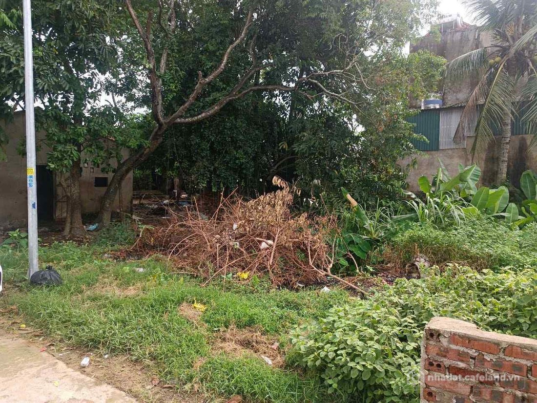 Bán đất thổ cư: Lô đất thổ cư thôn lê lợi, hoằng đông, hoằng hóa, thanh hóa 0393