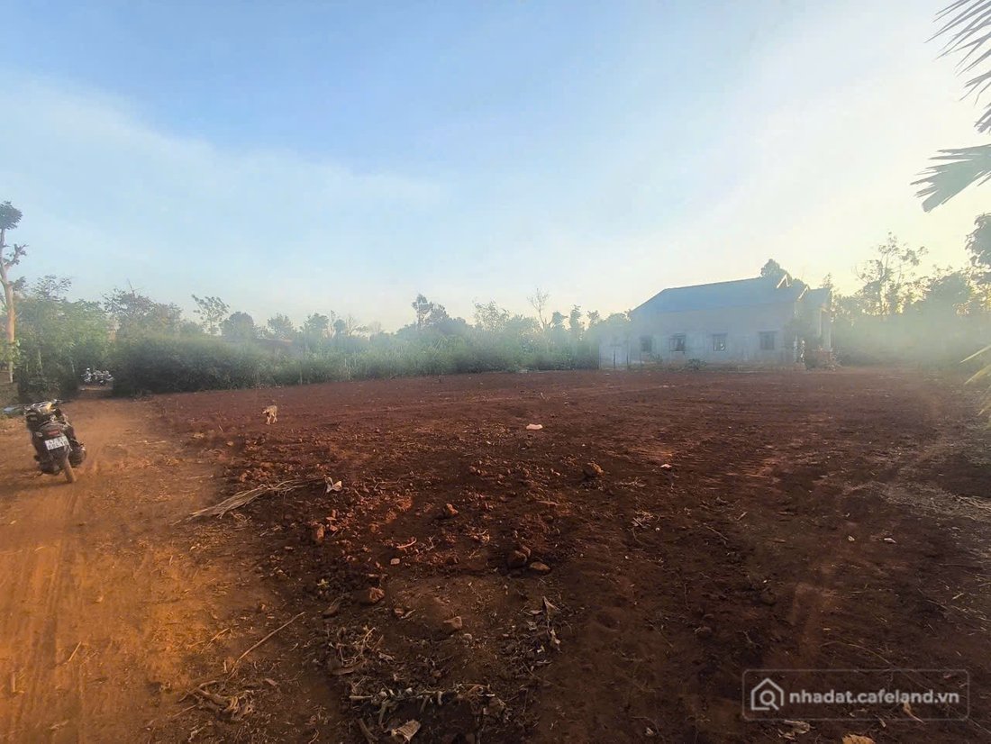 Bán đất thổ cư:  DUY NHẤT 1 LÔ ĐẸP GẦN KHU CÔNG NGHIỆP PHÚ XUÂN – CÁCH UBND XÃ 