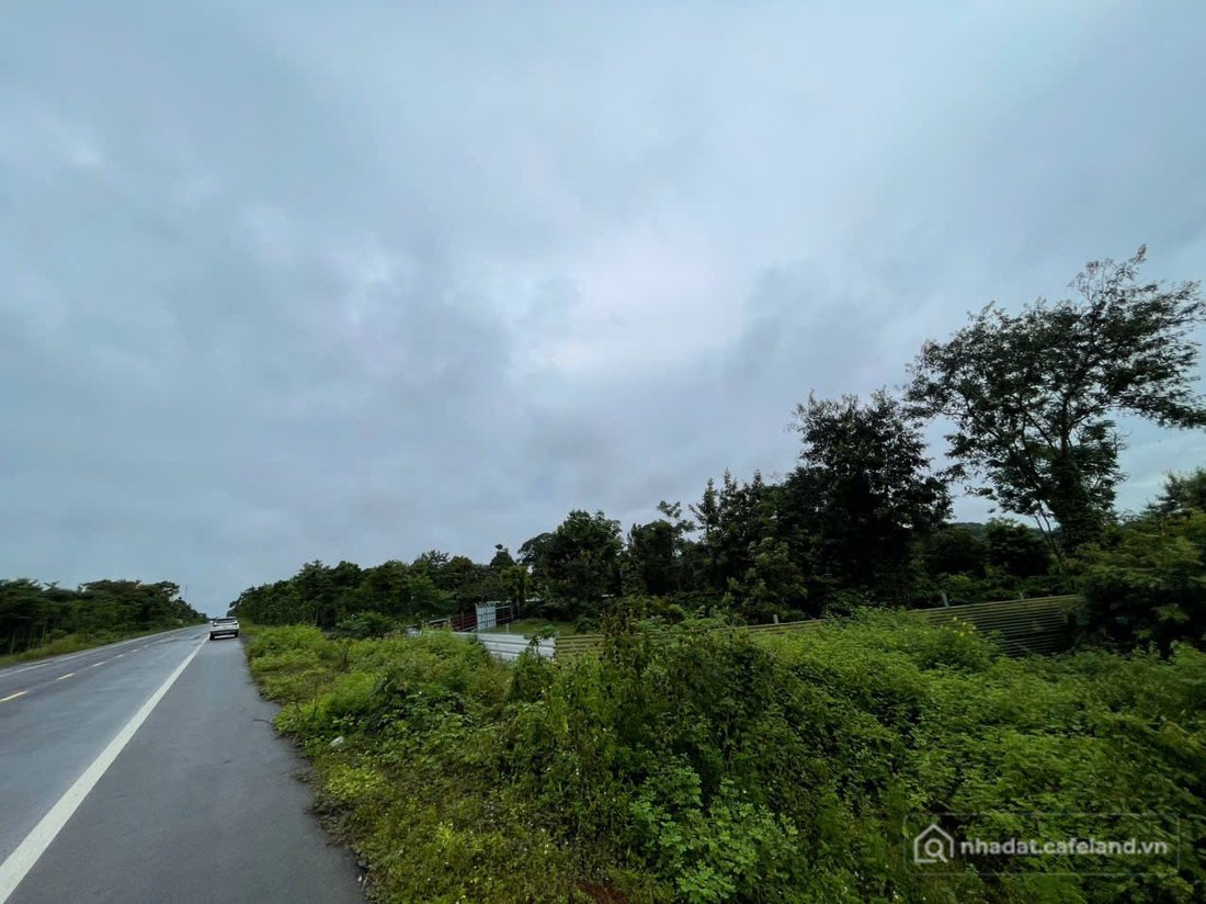 Bán đất thổ cư: Đất MẶT TIỀN ĐƯỜNG TRÁNH ĐÔNG- ĐƯỜNG HỒ CHÍ MINH- 2 sào 2- Bán 2