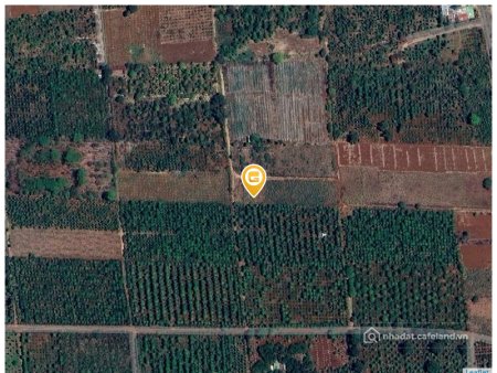 Bán đất thổ cư: Bán đất 619.4m² giá 520 triệu tại Phường Khánh Xuân Thành phố Bu