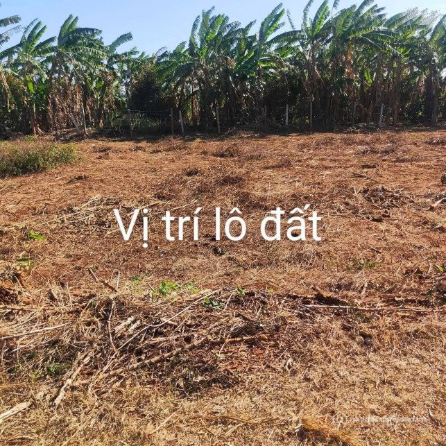 Bán đất thổ cư: Bán đất 510.1m² 650 triệu tại Phường Khánh Xuân Thành phố Buôn M