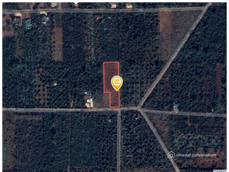 Bán đất thổ cư: Bán đất 150m² 590 triệu tại Xã Hòa Đông Huyện Krông Pắc