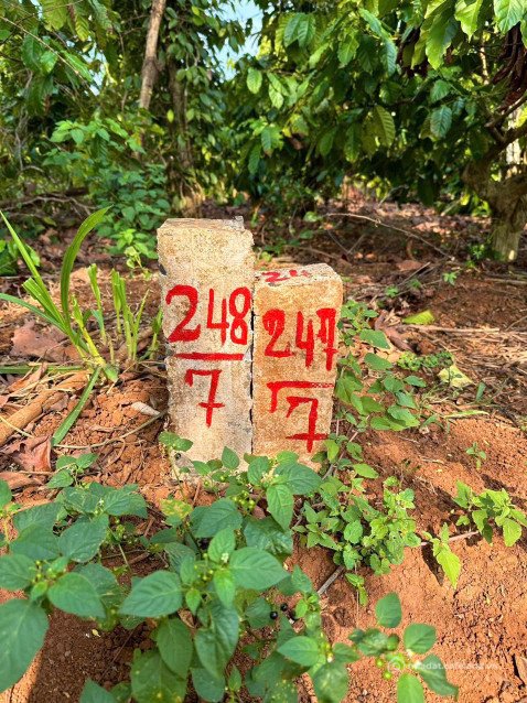 Bán đất thổ cư: 259# DUY NHẤT 1 LÔ hơn 500m² đất ngay Phường Thống Nhất -