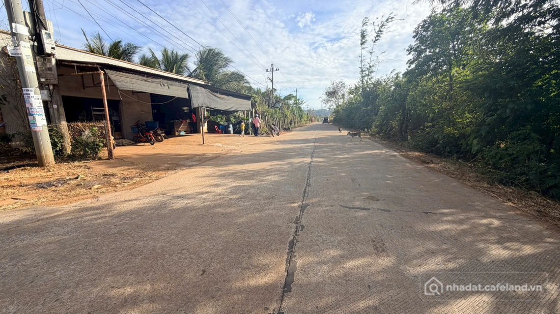 Bán đất thổ cư: Mặt Tiền Chính Gần Hồ Buôn Bông ,Phường EKao ,Đường Mở Rộng diện