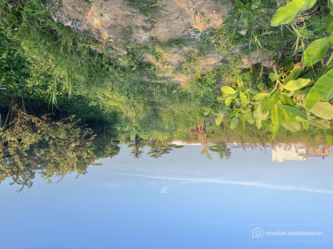 Bán đất thổ cư: Hiện trạng đất lúa nước được quy hoạch đất ở đô thị