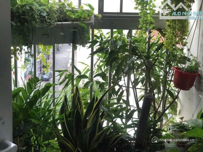 Bán căn hộ chung cư: Cần bán gấp căn hộ CC PVC-IC 242 Nguyễn Hữu Cảnh, ThắngNhất