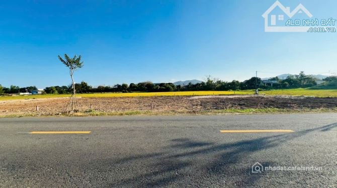 Bán đất thổ cư: MẶT TIỀN TL44B CŨ XÃ PHƯỚC HẢI- TPHCM. 11 LÔ F0 VIEW LÚA GIỜ CHỈ