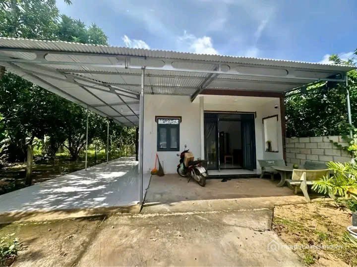 Bán nhà riêng: Chủ định cư nước ngoài cần bán nhà vườn 1200m2/550 TRIỆU, ngay TT