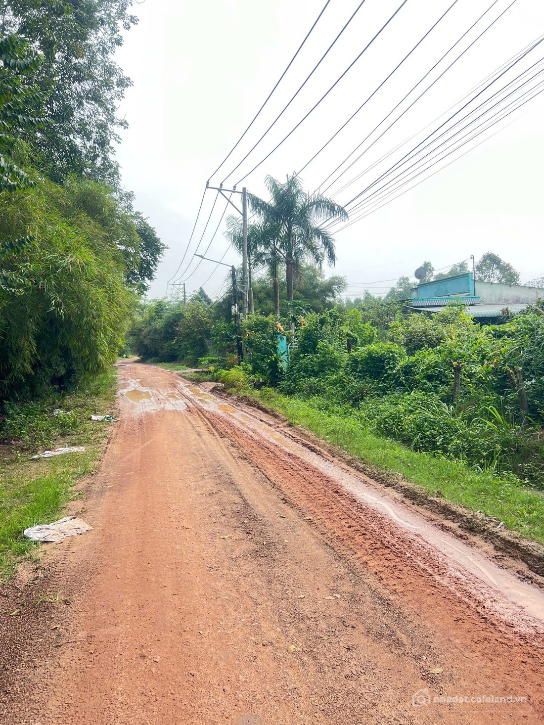 Bán đất thổ cư: 250m2 Đất An Điền , Bến Cát - Đường Thông Vào Khu Công Nghiệp - 