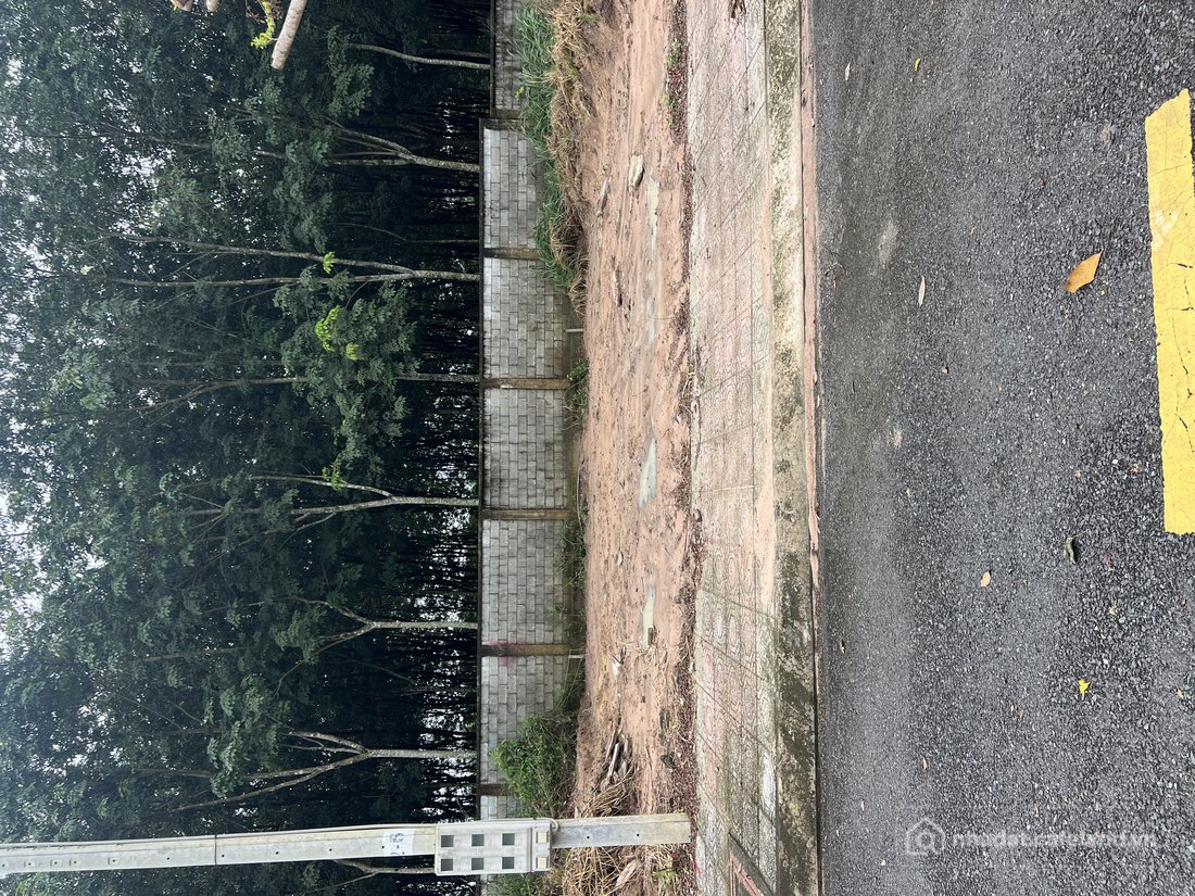 Bán đất thổ cư: Bán đất an điền khu hưng phát. Diện tích 7x11m thổ cư 77m2