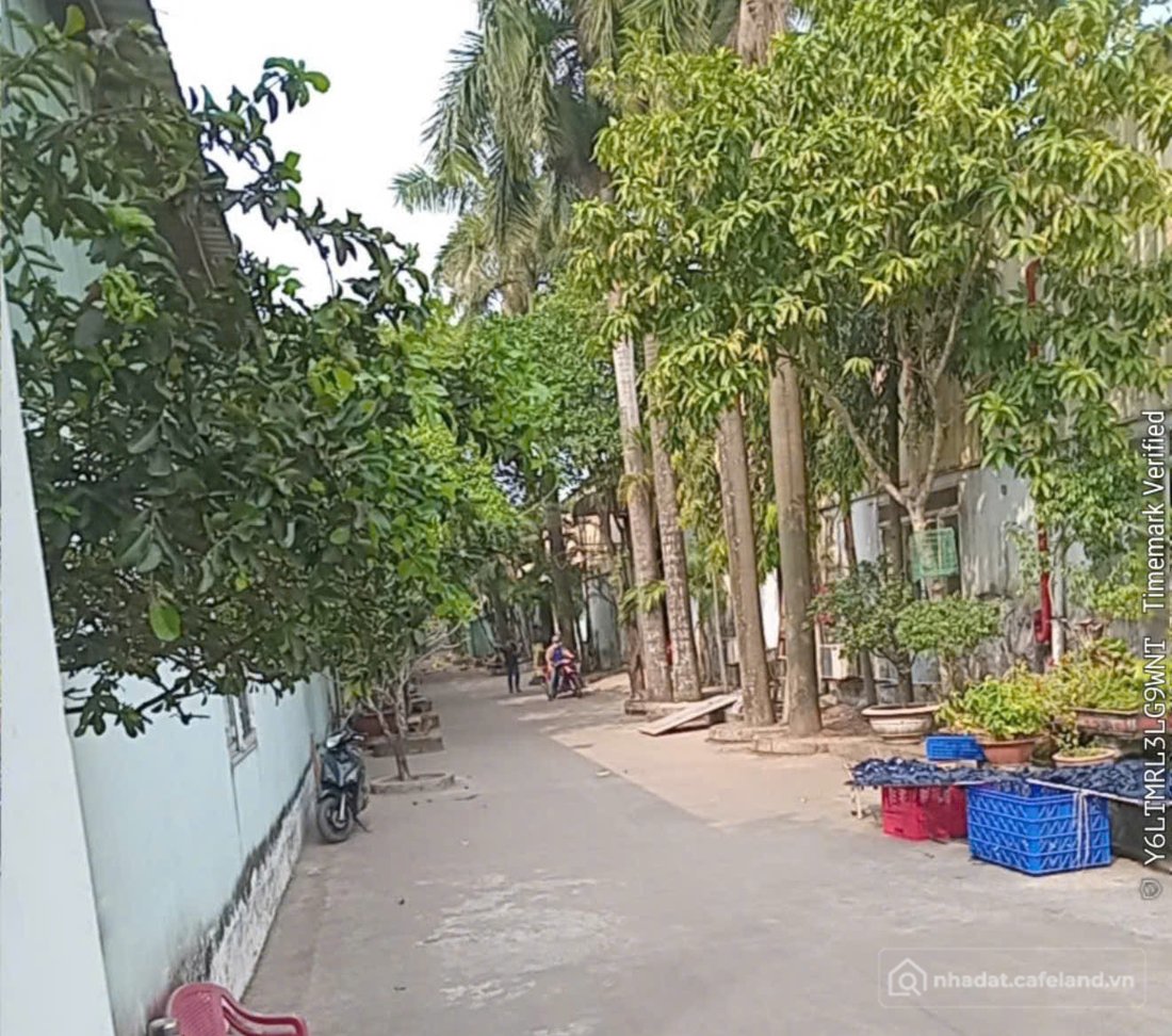 Bán kho, nhà xưởng: BÁN NHÀ XƯỞNG 6.800M² – CỤM CÔNG NGHIỆP NHỊ XUÂN HÓC MÔN – X