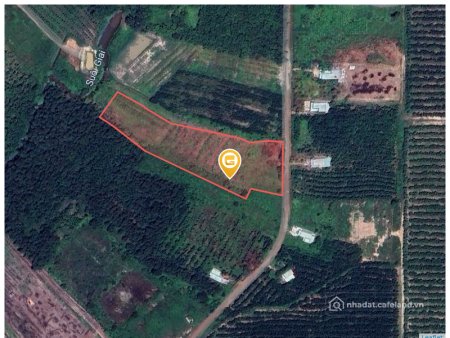 Bán đất thổ cư: Bán đất 8792.6m² giá 6 tỷ Xã Phú Giáo ngay cụm công nghiệp An Bì