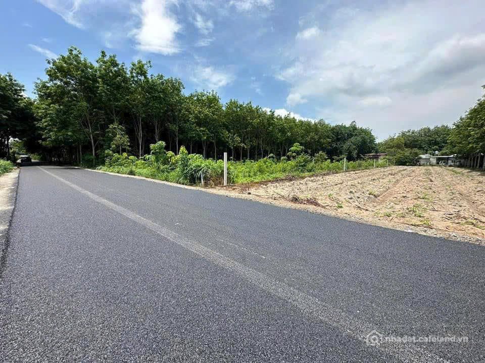 Bán đất thổ cư: Chính chủ bán đất khu công nghiệp, thành phố Hồ Chí Minh 700m2 g