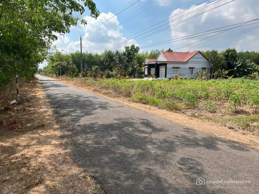 Bán đất thổ cư: đường nhựa khu du lịch dotchampa Dinh an nay là xã dầu tiếng DT 