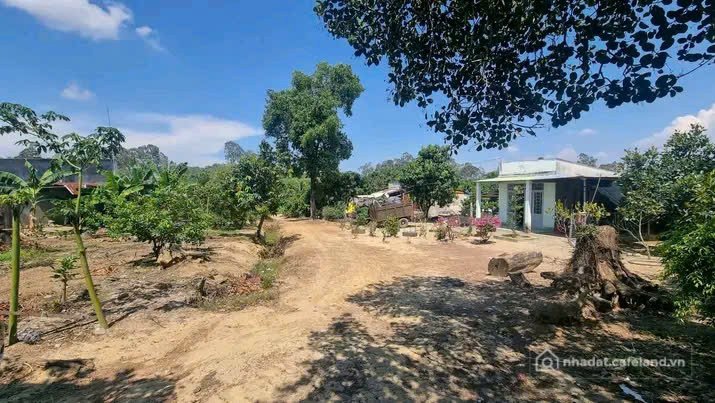 Bán nhà riêng: Chủ cần tiền bán gấp nhà vườn 1200m2/500 TRIỆU, Gần khu đô thị Ph