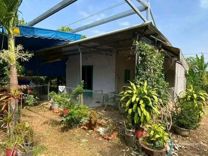 Bán nhà riêng: Chủ định cư nước ngoài cần bán nhà vườn 1200m2/780 TRIỆU, ngay TT