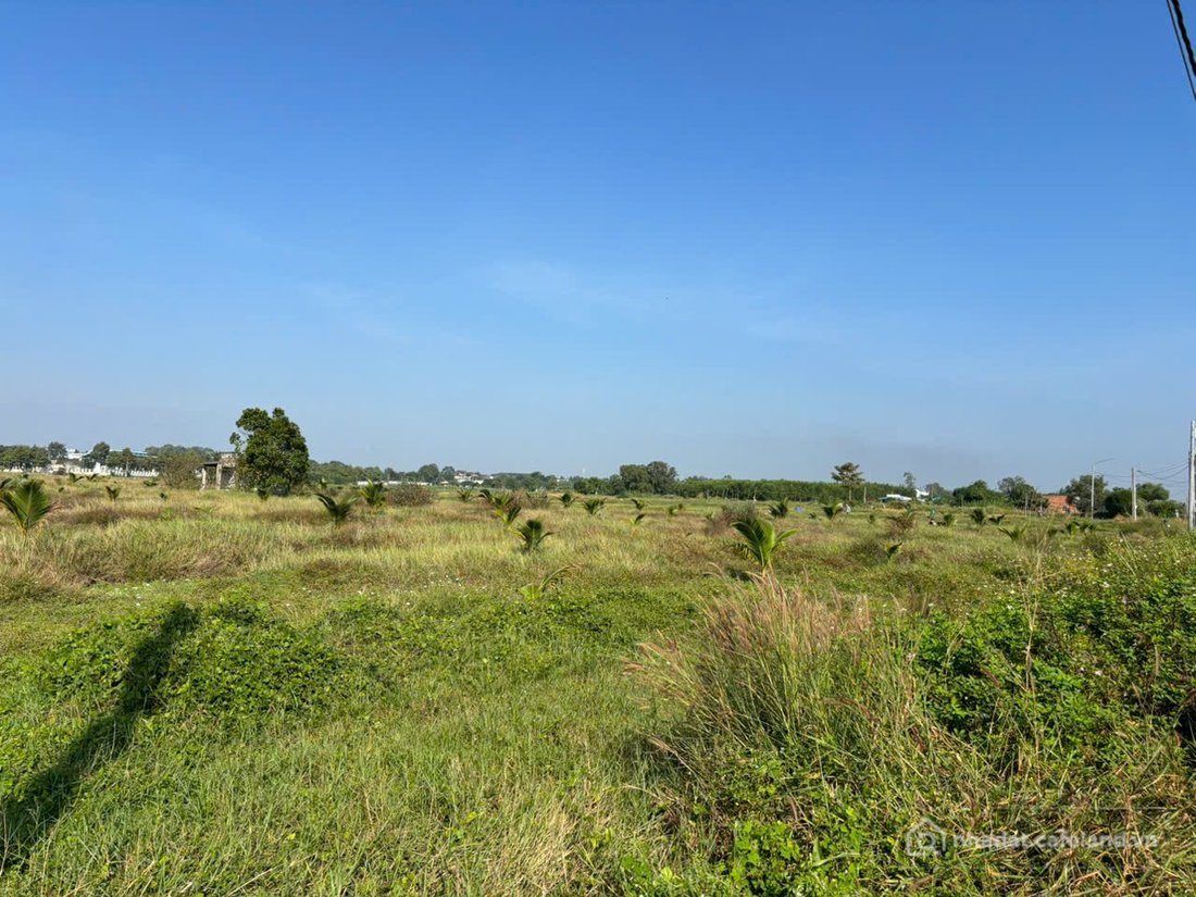 Bán đất thổ cư:  Nhà Vườn Sinh Thái 1.5ha Mặt Tiền Lộ Nhựa – Gần Sông Rạch – Hi