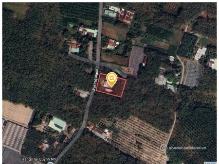 Bán đất thổ cư: Bán đất 1176m² 5.5 tỷ tại Xã An Nhơn Tây Huyện Củ Chi