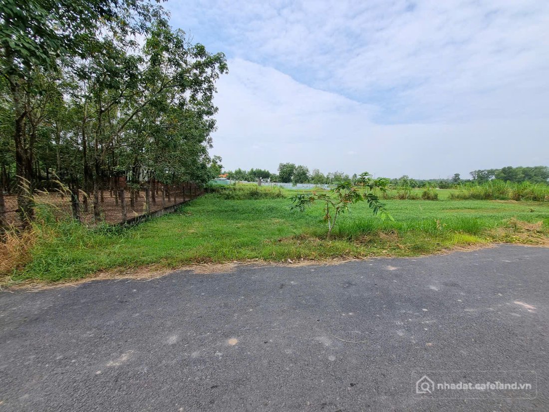 Bán đất thổ cư: (L849) Đất 1/ Phạm Thị Gắng, xã Phú Mỹ Hưng, dt 1.086m2, giá 7tr