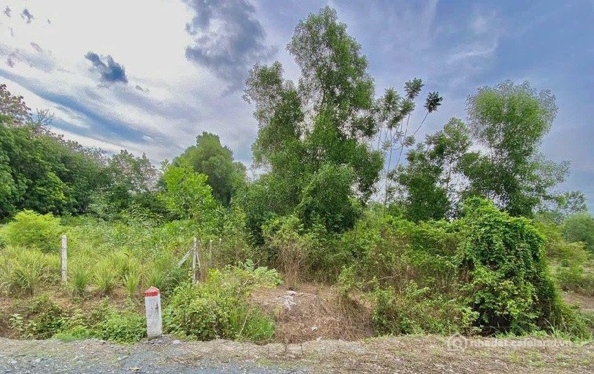 Bán đất thổ cư: Đất mặt tiền Cao Thị Đậu Phú Mỹ Hưng củ chi