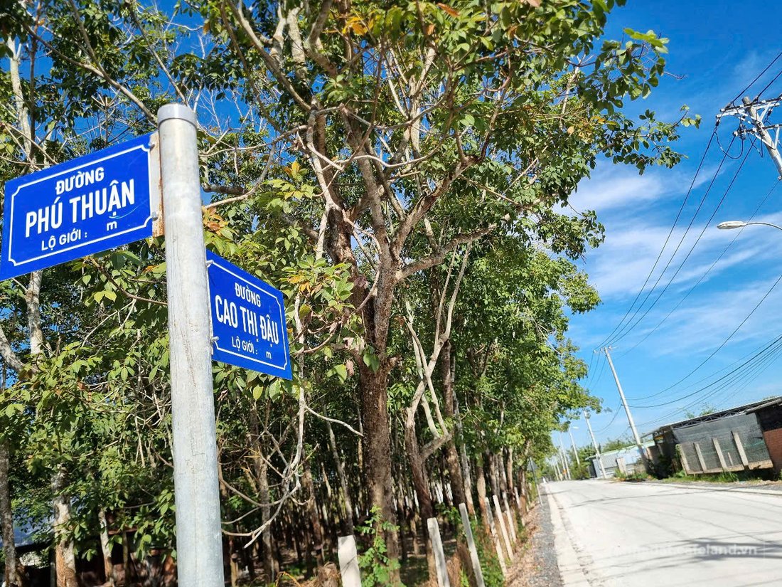 Bán đất thổ cư: (S528) Đất đường Cao Thị Đậu (1/ Phú Thuận), xã Phú Mỹ Hưng, dt 