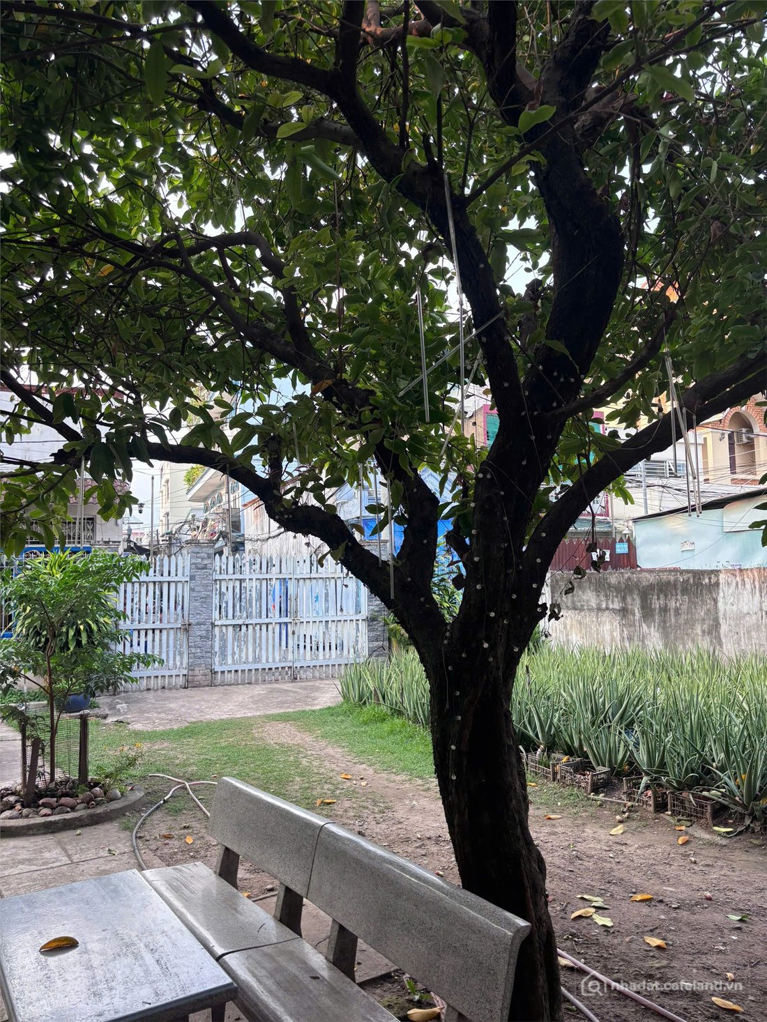 Bán đất thổ cư: HOT HOT - Đất chính Chính Chủ Mặt tiền đường Nguyễn Ảnh Thủ, Quậ