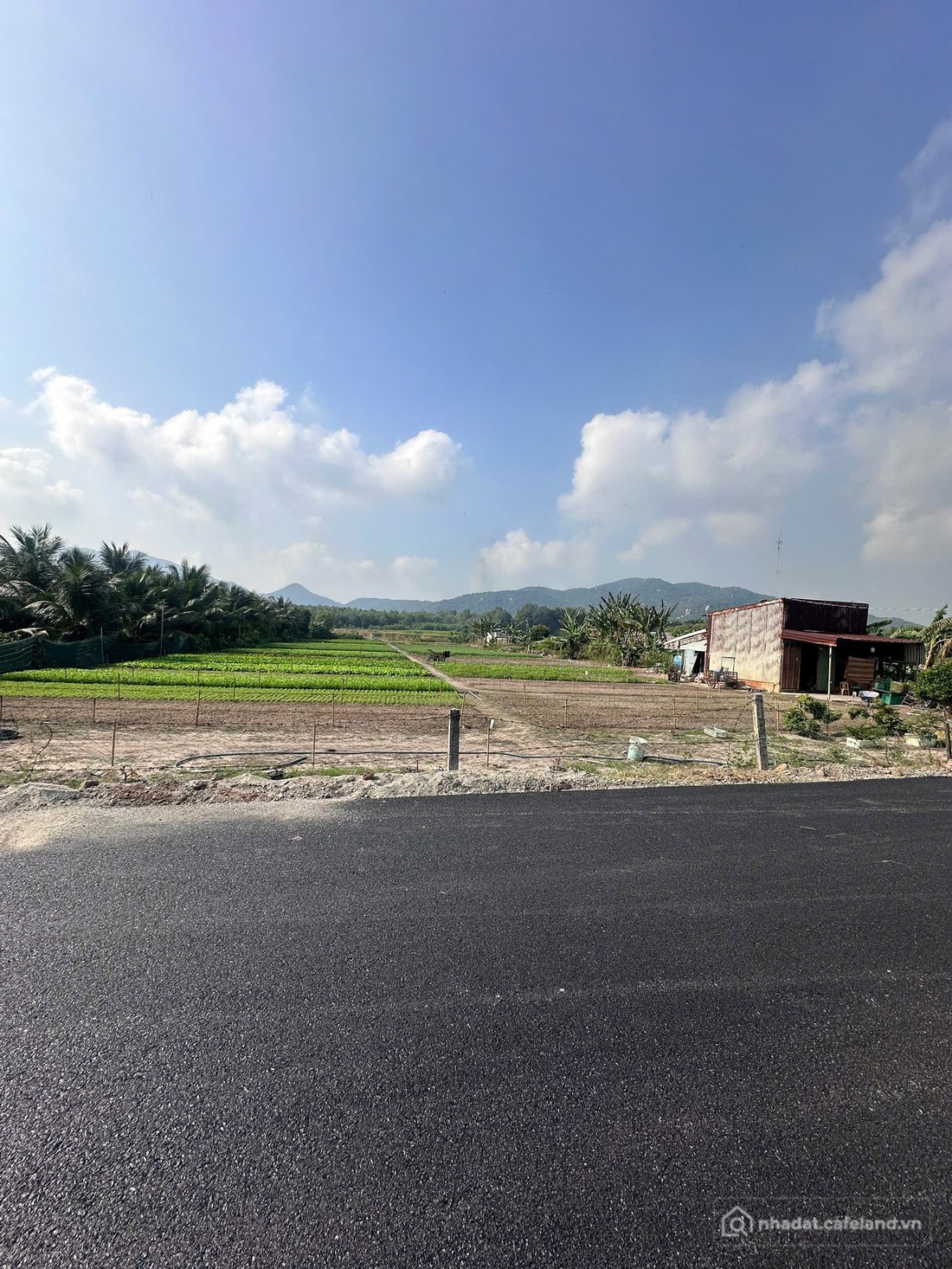 Bán đất thổ cư: 4sào8(400m thổ cư) Khu Long Mỹ Phước Hải-Bà Rịa Vũng Tàu.