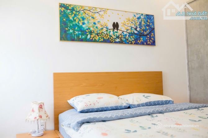 Cho thuê căn hộ chung cư: Cho Thuê Căn Hộ Melody Vũng Tàu - Full Nội Thất