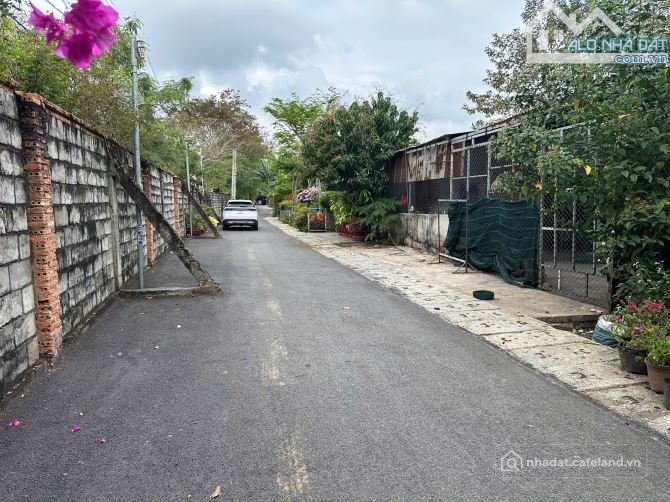 Bán đất thổ cư: Bán đất nhánh đường Phạm Ngọc Thạch, Phước Hưng - Bà Rịa, Giá bá