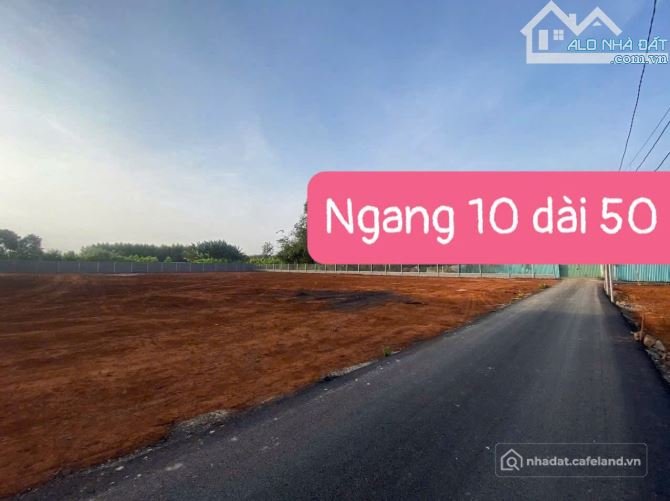 Bán đất nông, lâm nghiệp: Giá bán: 1 tỷ 280 triệu - TDT: 500m2 nhánh đường 91 th