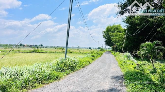 Bán đất thổ cư: THỊ TRẤN PHƯỚC HẢI - NGAY SAU GLAMPING ĐỒNG GIÓ CÁCH BIỂN CHỈ 2K