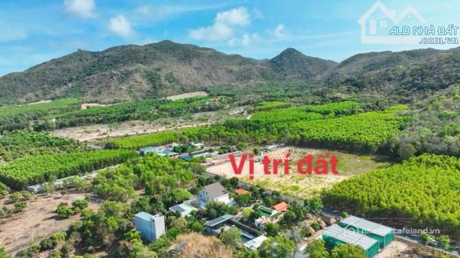 Bán đất thổ cư: Đẹp Tuyệt Vời- Đất Lưng Tựa Núi Long Mỹ- Phước Hải- BRVT CŨ DT: 
