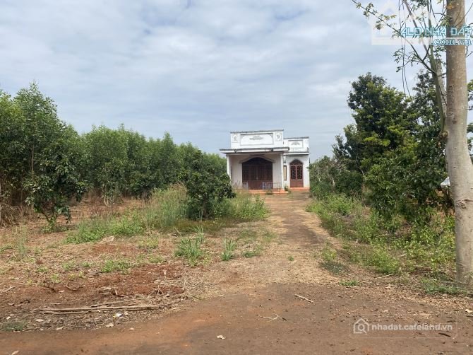 Bán đất thổ cư: CẦN BÁN VƯỜN BƠ SẴN NHÀ CẤP 4 RỘNG RÃI KHU DÂN CƯ CÁCH TRUNG TÂM