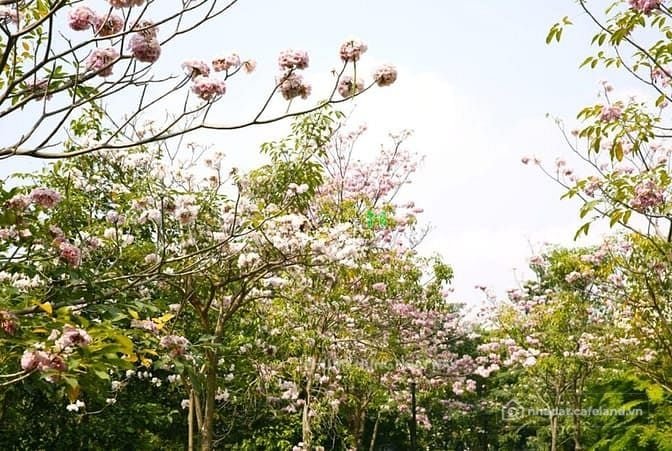 Bán nhà riêng: Bán CHCC Happy Valley, DT 135m2, TK 3PN, 2WC, NTDD, lầu cao, giá 